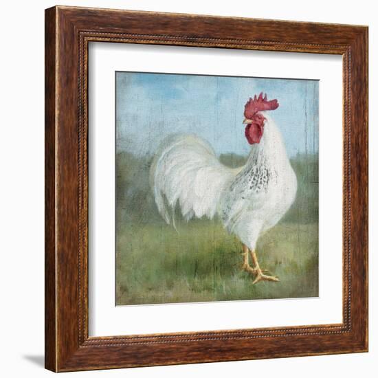 Noble Rooster I  Vintage No Border-Danhui Nai-Framed Art Print