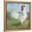 Noble Rooster I  Vintage No Border-Danhui Nai-Framed Stretched Canvas