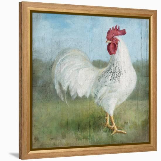 Noble Rooster I  Vintage No Border-Danhui Nai-Framed Stretched Canvas