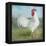 Noble Rooster I  Vintage No Border-Danhui Nai-Framed Stretched Canvas