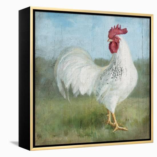 Noble Rooster I  Vintage No Border-Danhui Nai-Framed Stretched Canvas
