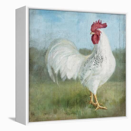 Noble Rooster I  Vintage No Border-Danhui Nai-Framed Stretched Canvas