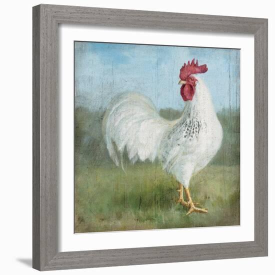 Noble Rooster I  Vintage No Border-Danhui Nai-Framed Premium Giclee Print