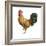 Noble Rooster II on White-Danhui Nai-Framed Art Print