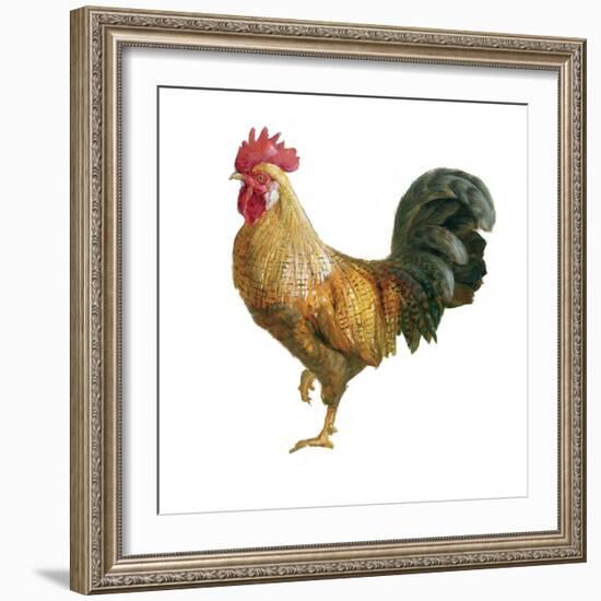 Noble Rooster II on White-Danhui Nai-Framed Art Print