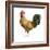 Noble Rooster II on White-Danhui Nai-Framed Art Print