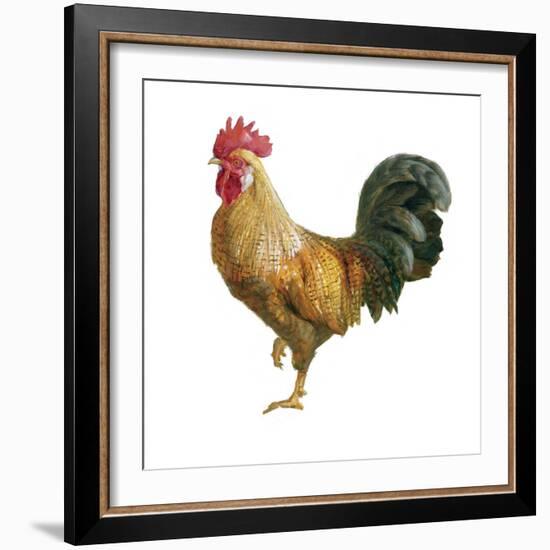 Noble Rooster II on White-Danhui Nai-Framed Art Print