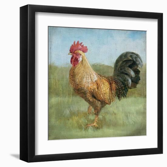 Noble Rooster II Vintage No Border-Danhui Nai-Framed Art Print