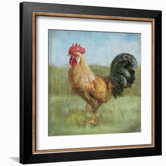 Noble Rooster II Vintage No Border-Danhui Nai-Framed Art Print