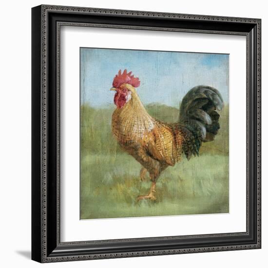 Noble Rooster II Vintage No Border-Danhui Nai-Framed Art Print