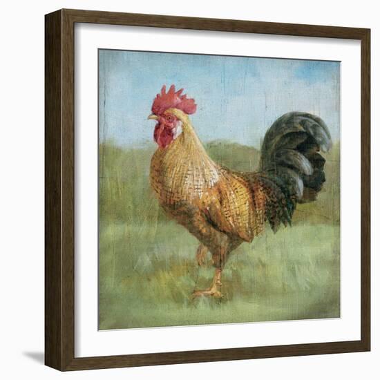 Noble Rooster II Vintage No Border-Danhui Nai-Framed Art Print