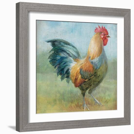 Noble Rooster III Vintage No Border-Danhui Nai-Framed Art Print