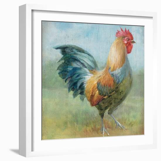 Noble Rooster III Vintage No Border-Danhui Nai-Framed Art Print