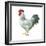 Noble Rooster IV on White-Danhui Nai-Framed Art Print