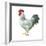 Noble Rooster IV on White-Danhui Nai-Framed Art Print