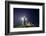 Nobska Light in Fog at Night-Paul Souders-Framed Photographic Print