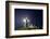 Nobska Light in Fog at Night-Paul Souders-Framed Photographic Print