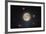 Nocturna Lux-Steve Gadomski-Framed Photographic Print