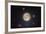 Nocturna Lux-Steve Gadomski-Framed Photographic Print