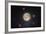 Nocturna Lux-Steve Gadomski-Framed Photographic Print