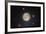 Nocturna Lux-Steve Gadomski-Framed Photographic Print