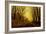 Nocturne in Gold, c.1872-John Atkinson Grimshaw-Framed Giclee Print