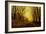 Nocturne in Gold, c.1872-John Atkinson Grimshaw-Framed Giclee Print