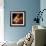 Nocturne-Gideon Ansell-Framed Photographic Print displayed on a wall