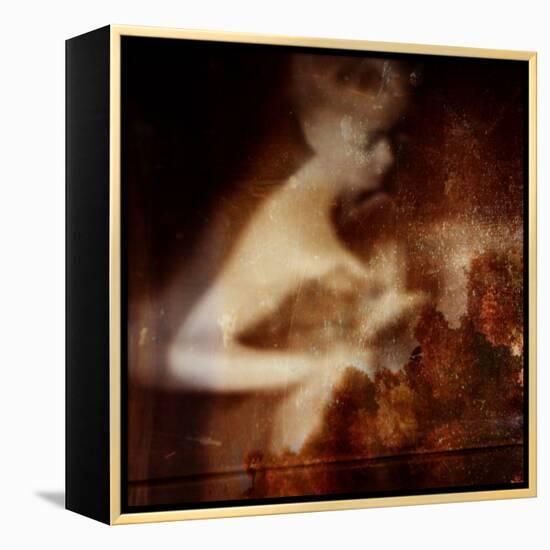 Nocturne-Gideon Ansell-Framed Premier Image Canvas