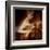 Nocturne-Gideon Ansell-Framed Premium Photographic Print