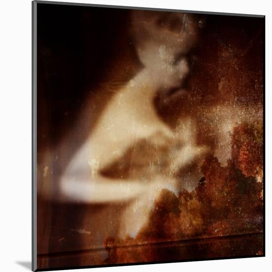 Nocturne-Gideon Ansell-Mounted Premium Photographic Print