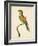 Nodder Tropical Bird I-Frederick P. Nodder-Framed Art Print