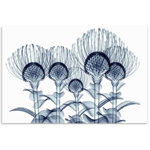 Nodding Pincushions - Free Floating Tempered Glass Panel Graphic Wall Art