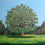 Bow Tree Summer-Noel Paine-Giclee Print