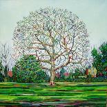 Bow Tree Summer-Noel Paine-Giclee Print