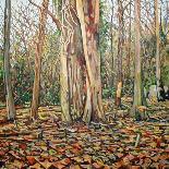 Line of Trees, 2009-Noel Paine-Giclee Print