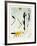 Noir Blanc Gris Jaune II-Francois Bruetschy-Framed Limited Edition