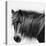 Noir Stallion-Wink Gaines-Framed Stretched Canvas