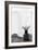 Noir Still - Solo-Irene Suchocki-Framed Giclee Print