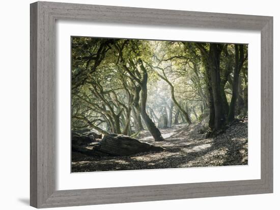 Noirmoutier Island-Philippe Manguin-Framed Photographic Print