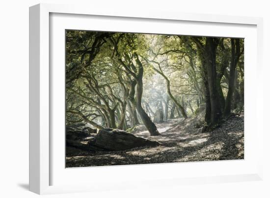 Noirmoutier Island-Philippe Manguin-Framed Photographic Print