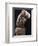 Nok terracotta bust of a woman, Nigeria, 900BC - 200AD-Werner Forman-Framed Photographic Print