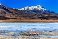 Flamingoes in Laguna Verde ,Bolivia-nok3709001-Mounted Photographic Print