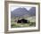 Nomad Tents, Lar Valley, Iran, Middle East-Desmond Harney-Framed Photographic Print