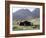 Nomad Tents, Lar Valley, Iran, Middle East-Desmond Harney-Framed Photographic Print