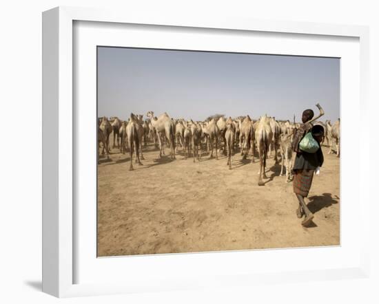 Nomadic Camel Herders Lead their Herd to a Watering Hole in Rural Somaliland, Northern Somalia-Mcconnell Andrew-Framed Photographic Print