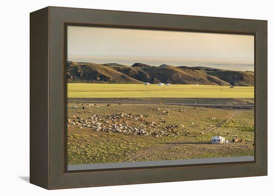 Nomadic camp and livestock, Bayandalai district, South Gobi province, Mongolia, Central Asia, Asia-Francesco Vaninetti-Framed Premier Image Canvas