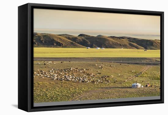 Nomadic camp and livestock, Bayandalai district, South Gobi province, Mongolia, Central Asia, Asia-Francesco Vaninetti-Framed Premier Image Canvas