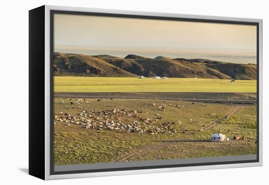 Nomadic camp and livestock, Bayandalai district, South Gobi province, Mongolia, Central Asia, Asia-Francesco Vaninetti-Framed Premier Image Canvas