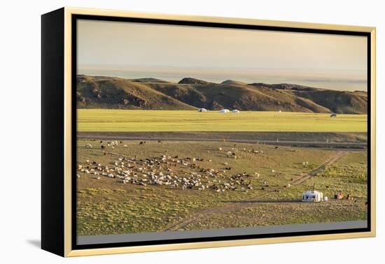 Nomadic camp and livestock, Bayandalai district, South Gobi province, Mongolia, Central Asia, Asia-Francesco Vaninetti-Framed Premier Image Canvas
